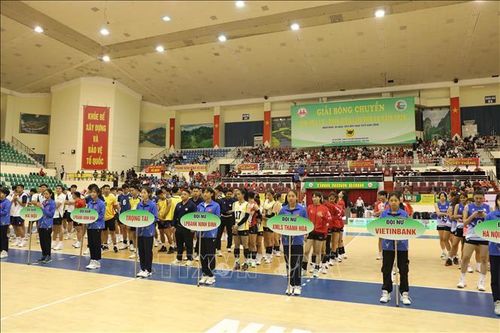 Khai mạc Giải bóng chuyền Cup Hoa Lư - Bình Điền lần thứ XX năm 2026