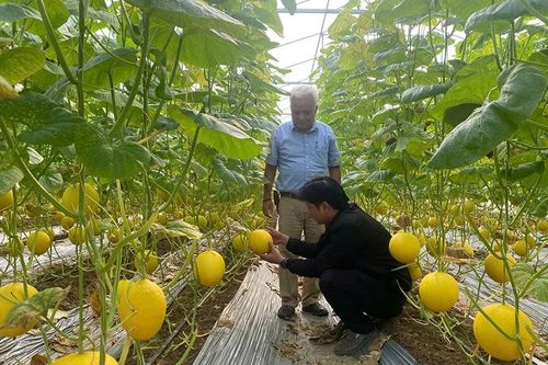 Quảng Ngọc quyết tâm vượt khó, xây dựng xã nông thôn mới nâng cao