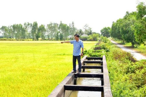Chủ động bảo vệ sản xuất trong mùa khô