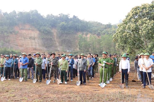 Xã Na Son ra quân đào hố trồng mắc ca, cà phê năm 2026