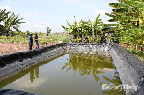 Xã Tân Phú Đông: Chủ động 'giữ ngọt' giữa mùa hạn, mặn