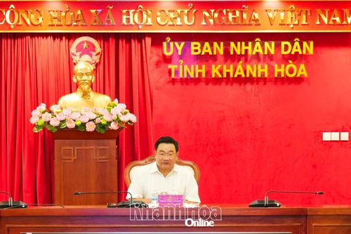 Phó Chủ tịch UBND tỉnh Trịnh Minh Hoàng chủ trì họp nghe báo cáo tiến độ các dự án nhà máy điện hạt nhân