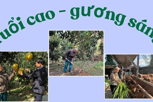 Tuổi cao - gương sáng