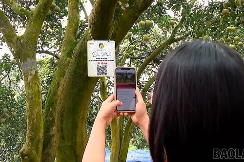 Xây dựng hệ sinh thái truy xuất nguồn gốc hiện đại, minh bạch