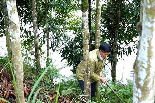 Trưởng thôn gương mẫu 'nói đi đôi với làm'