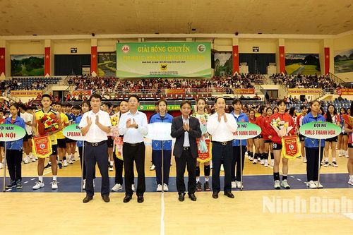 Khai mạc Giải Bóng chuyền Cúp Hoa Lư - Bình Điền lần thứ XX năm 2026