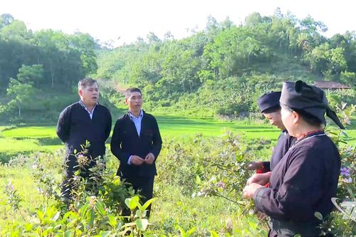 Động lực thúc đẩy phong trào văn hóa ở cơ sở