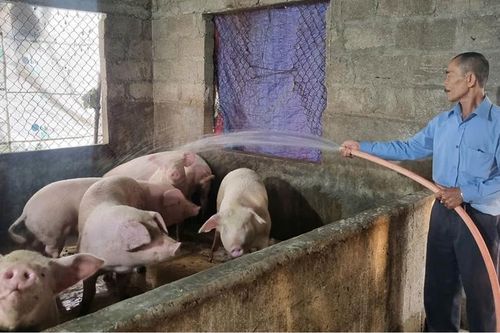 Chi hội trưởng nông dân lan tỏa tinh thần lao động