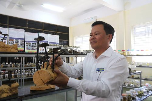 Người thầy miệt mài lưu giữ thế giới nấm ở Tây Nguyên