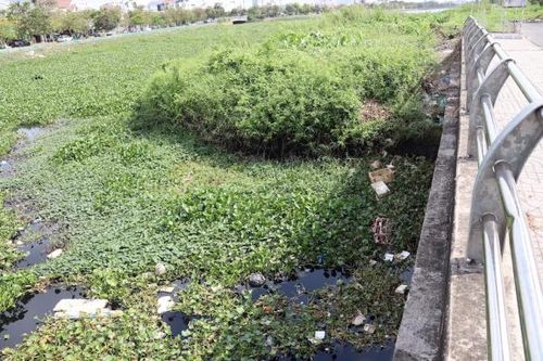 Nhếch nhác tại công trình trăm tỷ 'nhiều tai tiếng' ở Cần Thơ