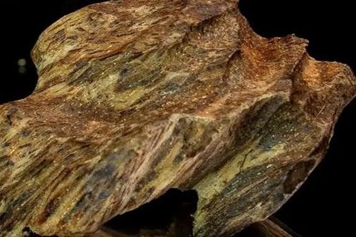 Cảnh giác chiêu trò dàn cảnh lừa mua kỳ nam giả
