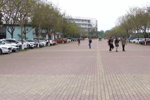 Dự kiến mở rộng đô thị Đại học Hòa Lạc lên 2.500ha