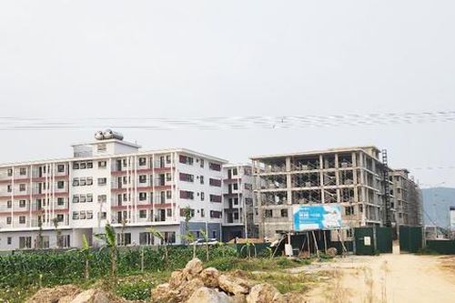 Tỉnh Nghệ An phấn đấu hoàn thành 2.000 căn hộ NƠXH trong năm 2026