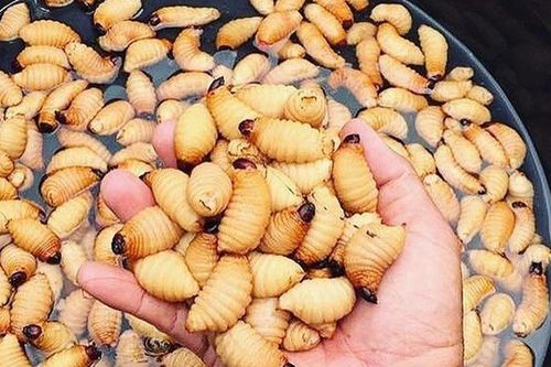 Món ăn 'kinh dị' bậc nhất miền Tây: Càng nhìn càng sợ, càng ăn càng ghiền?
