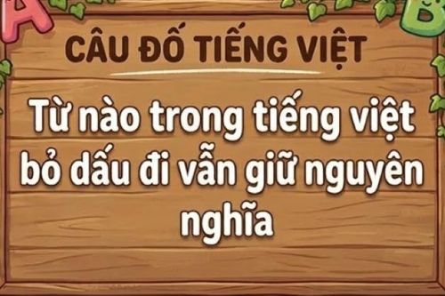 Từ nào trong tiếng Việt bỏ dấu đi vẫn giữ nguyên nghĩa?