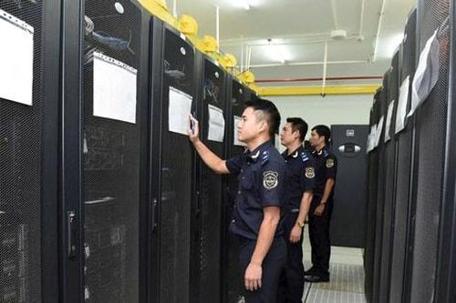 Trục trặc hệ thống công nghệ thông tin Hải quan không ảnh hưởng thông quan hàng hóa