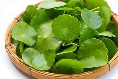 Cách phòng chứng ngứa da, nổi mề đay vào mùa xuân