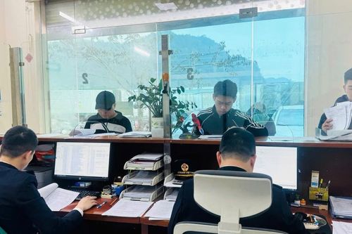 Hải quan thông tin về hiện tượng Hệ thống công nghệ thông tin bị lỗi