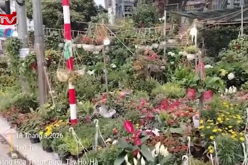 Lấn chiếm vỉa hè quanh Chợ Bưởi: Ảnh hưởng mỹ quan và trật tự đô thị