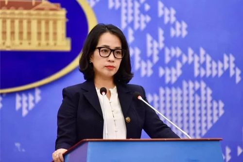 Bộ Ngoại giao lên tiếng về ông Chu Đăng Khoa bị bắt ở Nam Phi