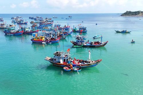 Ngư dân Quảng Ngãi ứng dụng máy lái tự động giảm chi phí nhiên liệu