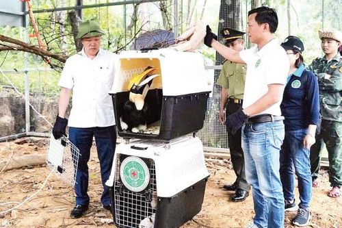 Ứng dụng công nghệ số bảo tồn đa dạng sinh học ở Phong Nha-Kẻ Bàng