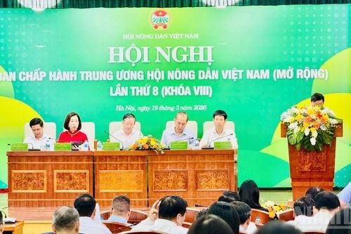 Bốn nội dung quan trọng chuẩn bị cho Đại hội Hội Nông dân nhiệm kỳ IX