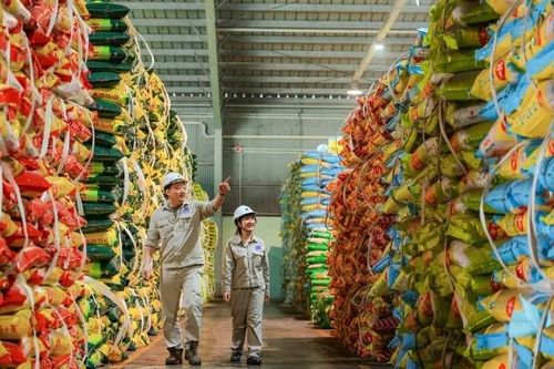Nhà máy Đạm Phú Mỹ vận hành tối đa công suất, bảo đảm nguồn cung phân bón
