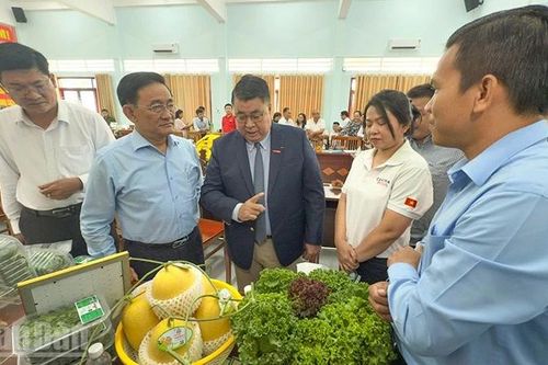 Vĩnh Long kết nối hơn 30 doanh nghiệp vào hệ thống siêu thị GO!