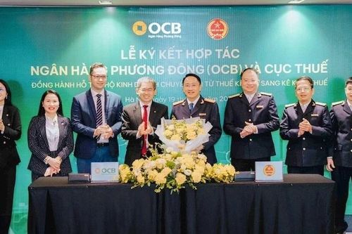 Hỗ trợ hộ kinh doanh chuyển sang kê khai thuế, thúc đẩy minh bạch tài chính
