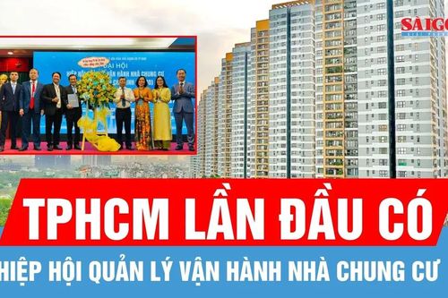 TPHCM lần đầu có Hiệp hội Quản lý vận hành nhà chung cư