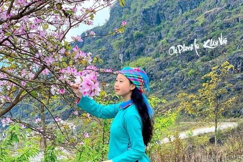 Tuyên Quang: Xã Khâu Vai lần đầu tổ chức lễ hội hoa mộc miên và hoa ban