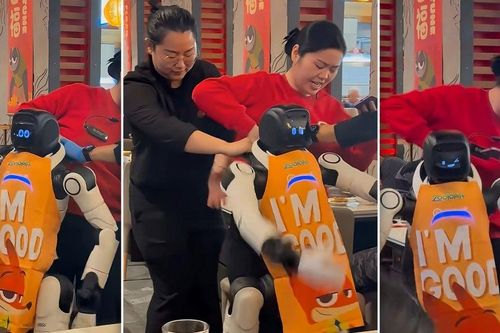 Robot náo loạn đập phá bát đĩa tại nhà hàng ở California
