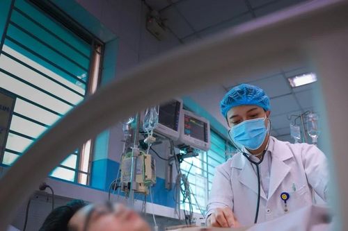 Sốt xuất huyết Dengue: Chủ động phòng bệnh là cách giữ nhịp sống yên bình