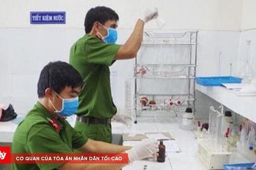 Hải Phòng siết chặt chất lượng giám định tư pháp, tăng tính độc lập