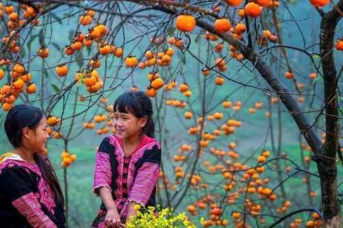 Làm du lịch từ văn hóa bản địa: Cách đi riêng của đồng bào vùng cao