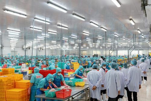 Lãnh đạo tỉnh Thanh Hóa đến thăm và làm việc tại Sao Mai Group