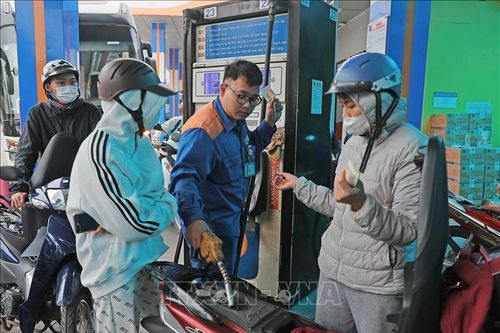 Chuyên gia Malaysia: Việt Nam vững vàng giữa biến động của thị trường năng lượng toàn cầu