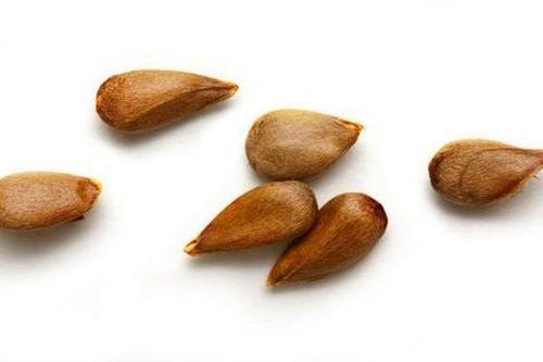Loại quả ngon mắt nhưng chứa 'chất kịch độc', mâm cơm nhà nào cũng có mà không hay