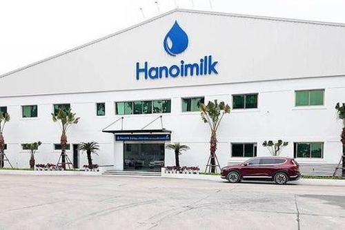 Cổ phiếu Hanoimilk liên tục 'chuyền tay' nội bộ