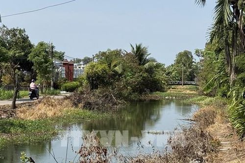 Nguy cơ triều cường vượt báo động 3, Đồng Tháp khẩn trương chống ngập, mặn