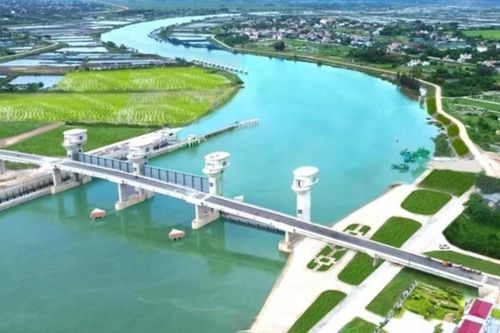 Yêu cầu trọng tâm của ngành nông, lâm nghiệp: Tiến độ, hiệu quả đầu tư, giá trị thực chất