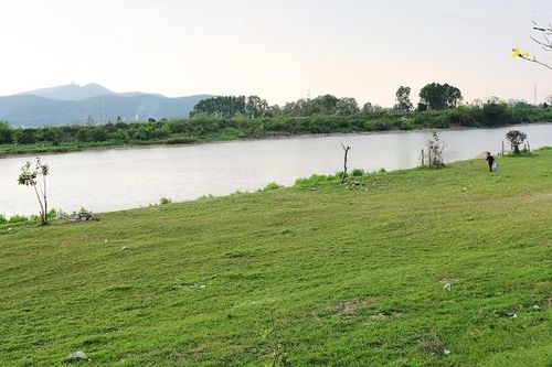 Bắc Ninh: Tập trung xử lý vi phạm lấn chiếm bãi sông, hành lang bảo vệ đê điều