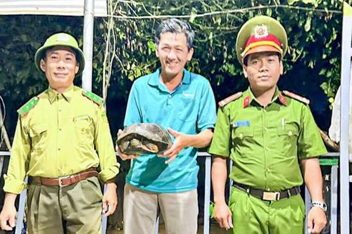 Tăng cường bảo vệ động vật hoang dã
