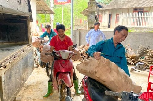Mùa sung túc ở Khe Kẹn