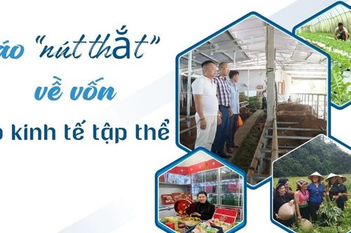 Tháo 'nút thắt' về vốn cho kinh tế tập thể