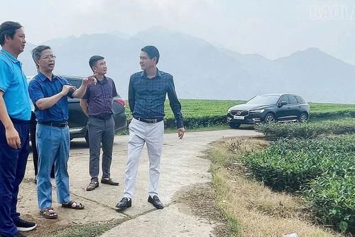 Khảo sát chuẩn bị Giải Đua xe đạp toàn quốc 2026 tại phường Nghĩa Lộ