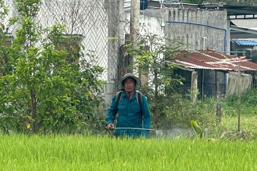 Hướng đi hiệu quả ở xã Hàm Thuận