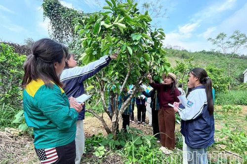 Thúc đẩy đào tạo nghề cho lao động nông thôn