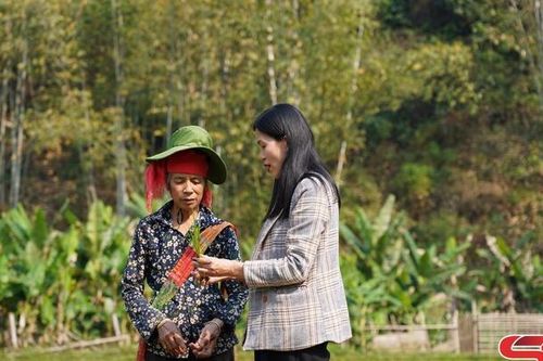 Tập trung chăm sóc lúa vụ xuân